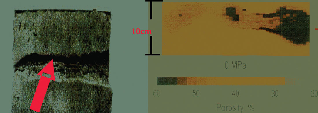Fig. 01