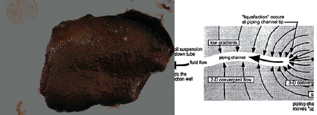 Fig. 02