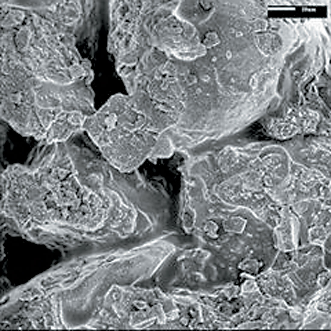 Fig. 08