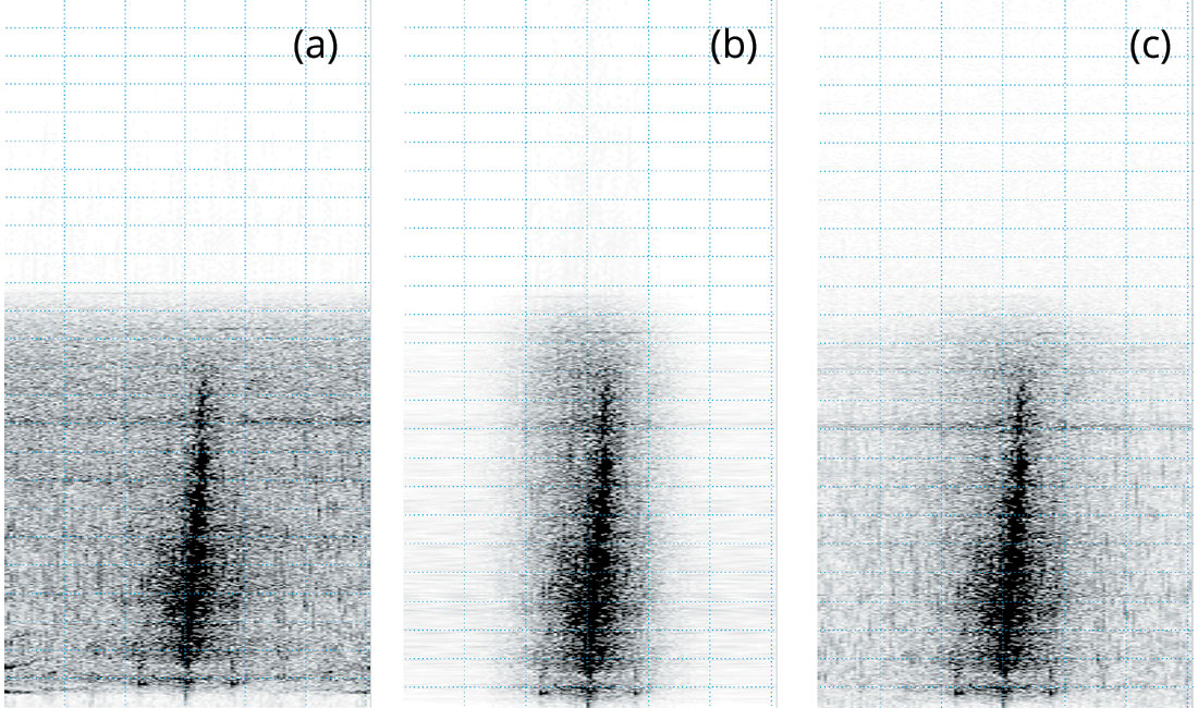 Fig. 09