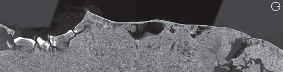 Fig. 01