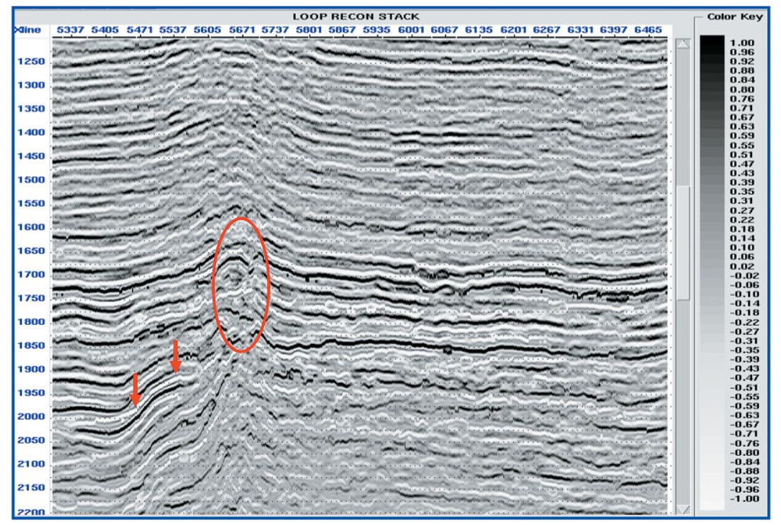 Fig. 06