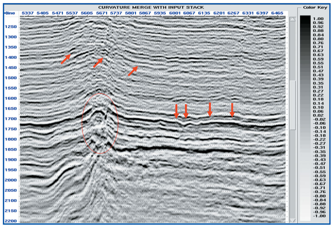 Fig. 08