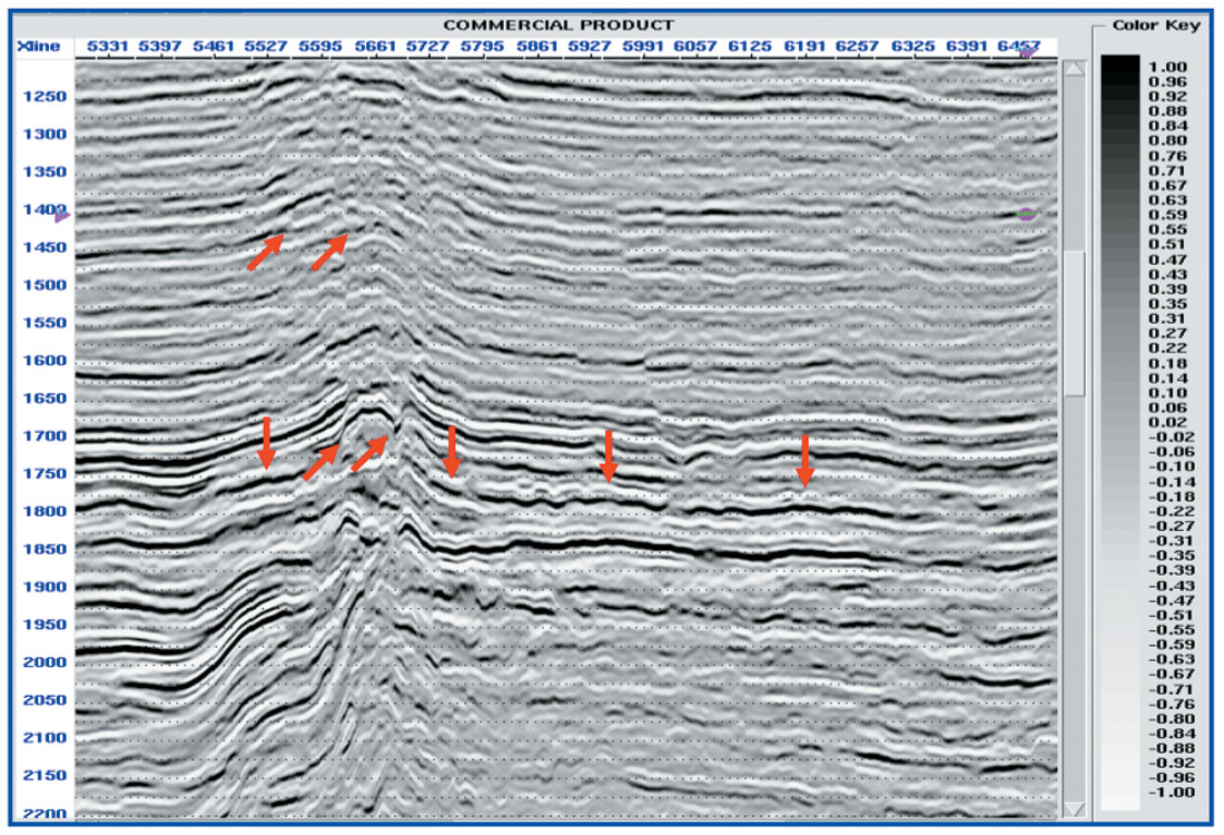 Fig. 11