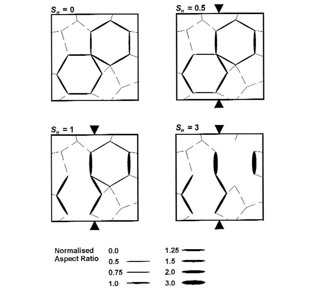 Fig. 01