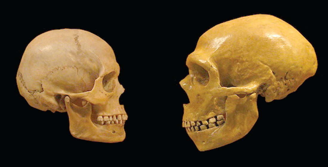 Fig. 03