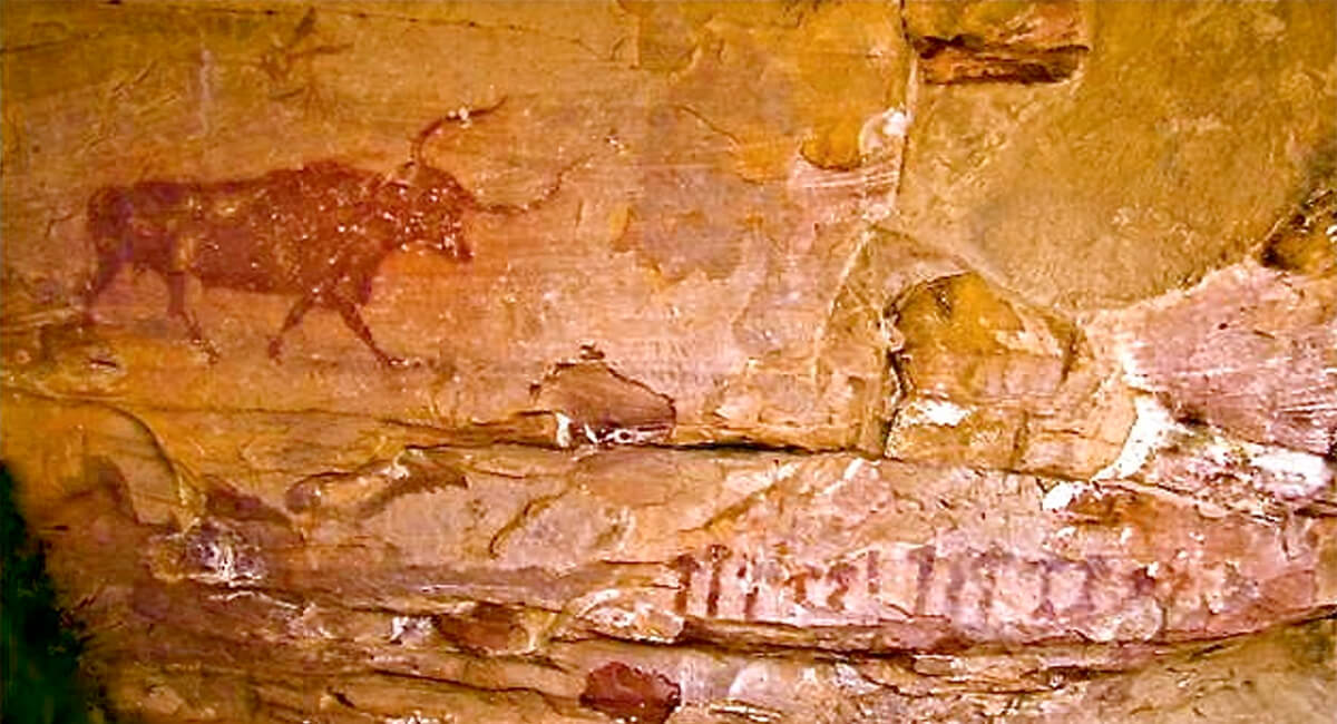 Fig. 06