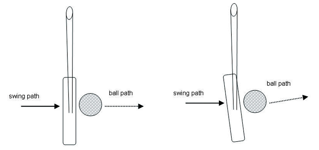 Fig. 06