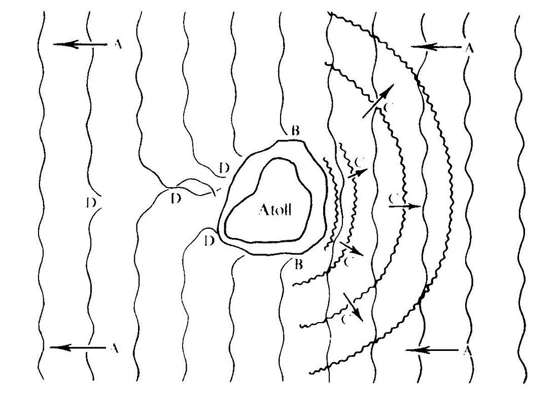 Fig. 06