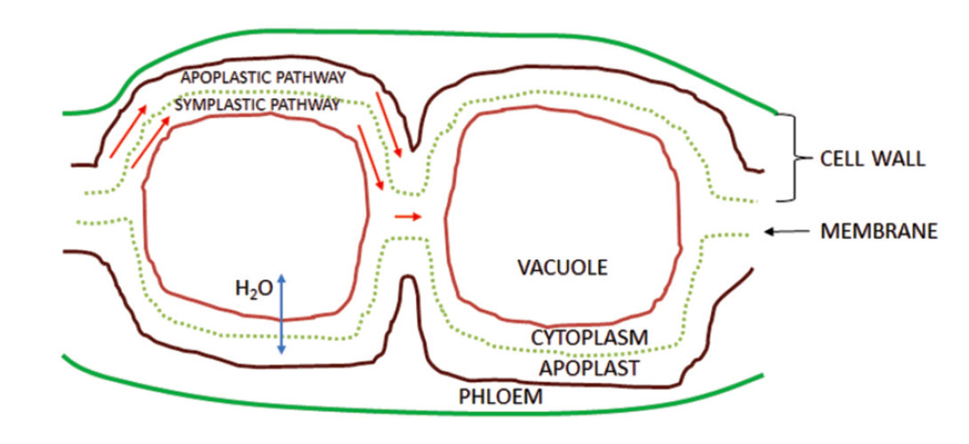 Fig. 06