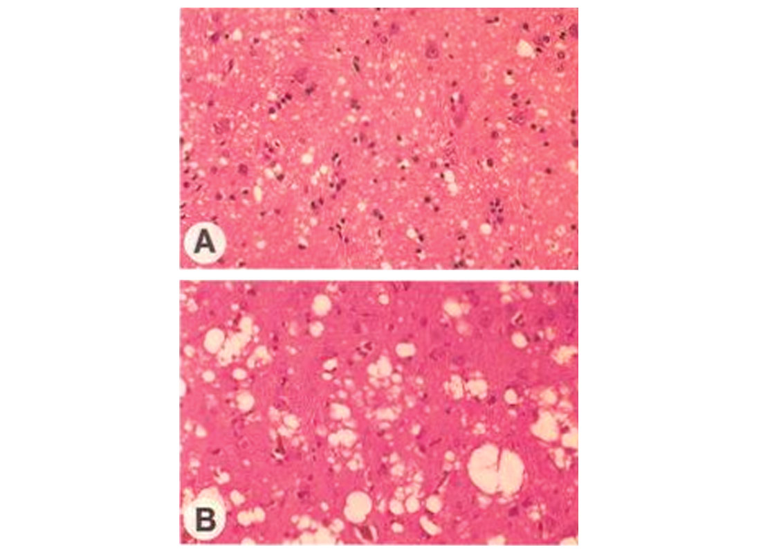 Fig. 01