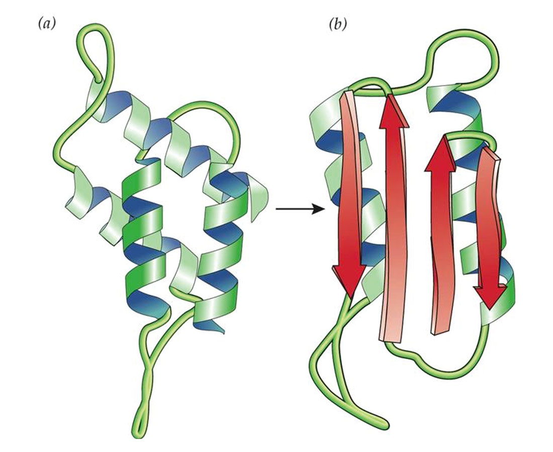 Fig. 02