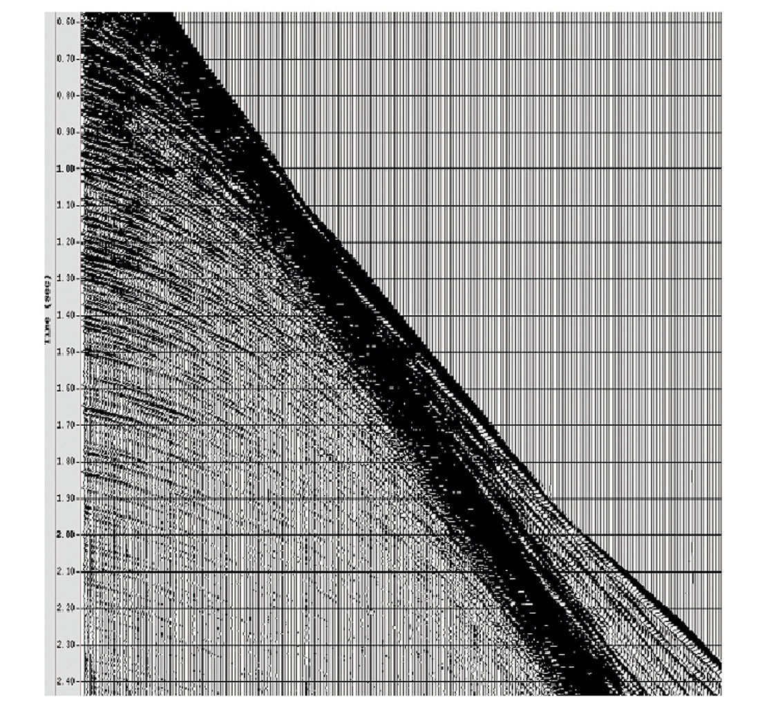 Fig. 10