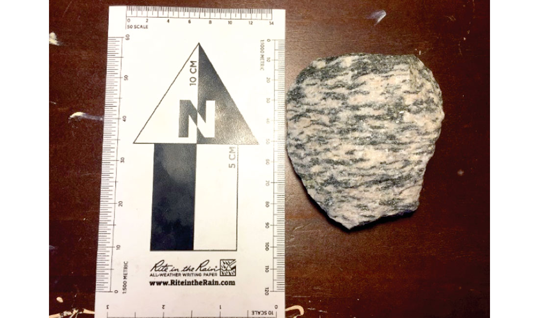 Fig. 08